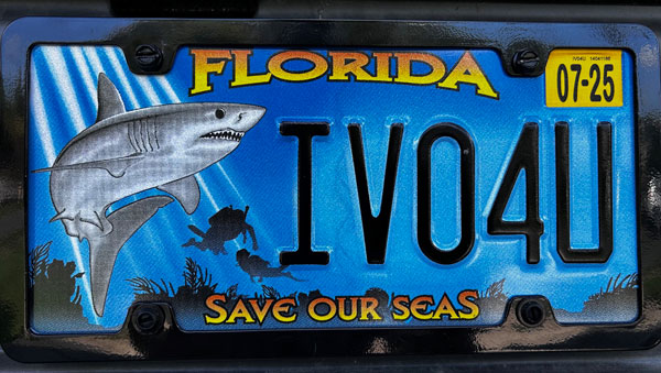 CJ Goodearl Florida License plate that says IVO4U. It has an image of a shark and says "Save our Seas"